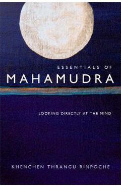 Essentials of Mahamudra: Looking Directly at the Mind - Thrangu
