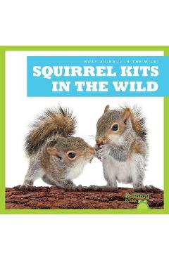 Squirrel Kits in the Wild - Katie Chanez